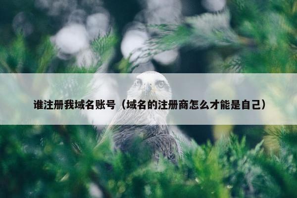 谁注册我域名账号（域名的注册商怎么才能是自己）