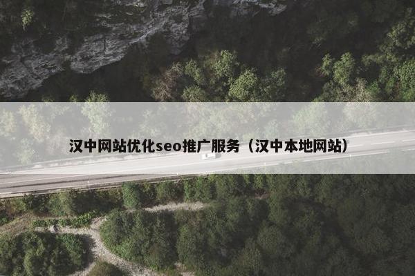 汉中网站优化seo推广服务（汉中本地网站）