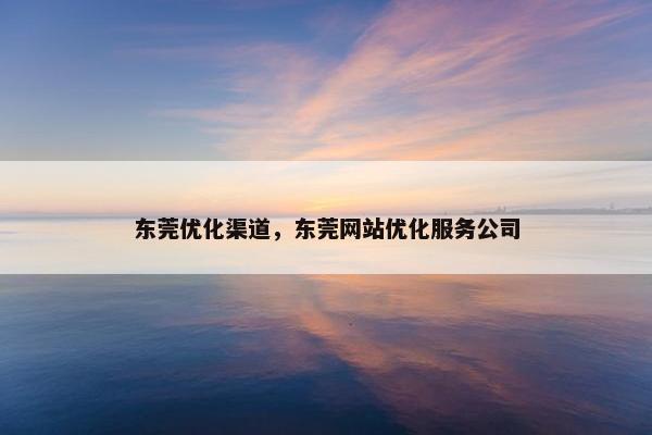 东莞优化渠道，东莞网站优化服务公司