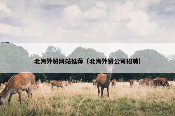 北海外贸网站推荐(北海外贸公司招聘)