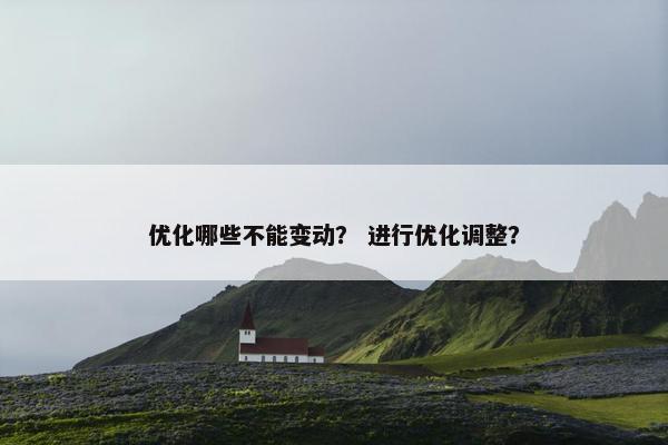 优化哪些不能变动？ 进行优化调整？