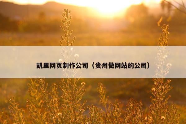 凯里网页制作公司（贵州做网站的公司）