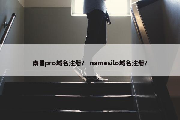 南昌pro域名注册？ namesilo域名注册？