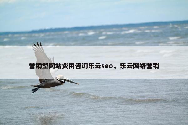 营销型网站费用咨询乐云seo，乐云网络营销