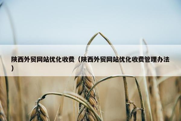 陕西外贸网站优化收费（陕西外贸网站优化收费管理办法）