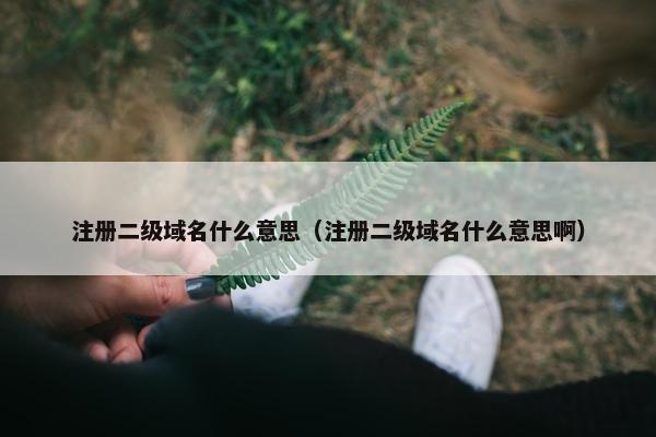 注册二级域名什么意思（注册二级域名什么意思啊）