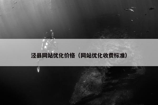 泾县网站优化价格（网站优化收费标准）