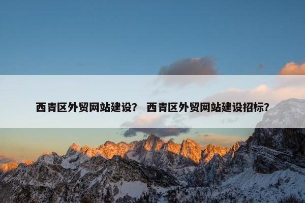 西青区外贸网站建设？ 西青区外贸网站建设招标？