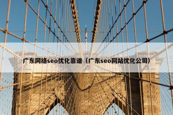 广东网络seo优化靠谱（广东seo网站优化公司）