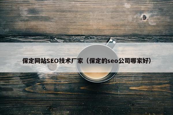 保定网站SEO技术厂家（保定的seo公司哪家好）