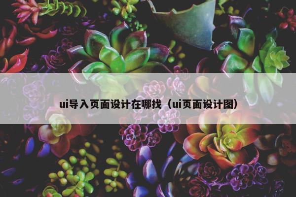 ui导入页面设计在哪找(ui页面设计图) ui导入页面设计在哪找(ui页面设计图)