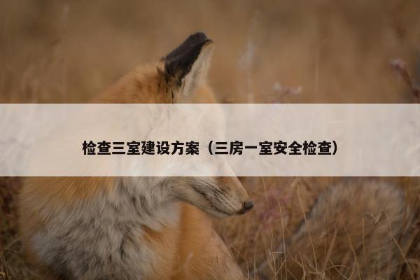 检查三室建设方案（三房一室安全检查）