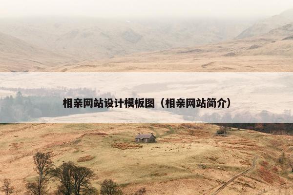 相亲网站设计模板图（相亲网站简介）