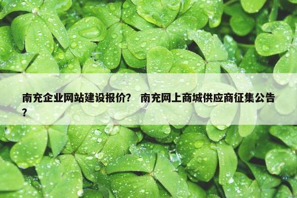 南充企业网站建设报价？ 南充网上商城供应商征集公告？