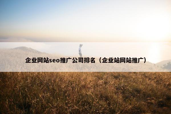 企业网站seo推广公司排名（企业站网站推广）