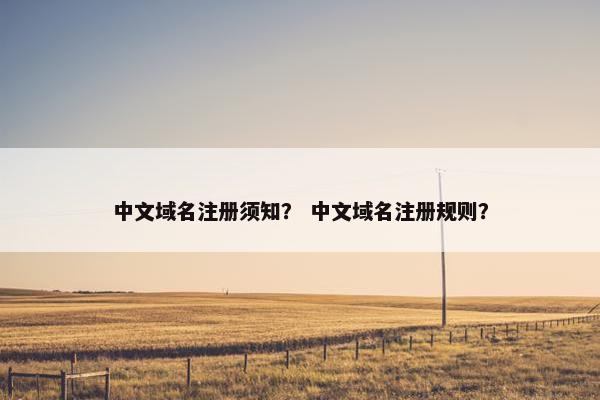 中文域名注册须知？ 中文域名注册规则？