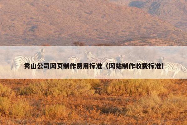 秀山公司网页制作费用标准（网站制作收费标准）