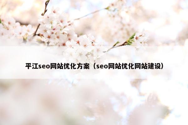 平江seo网站优化方案（seo网站优化网站建设）