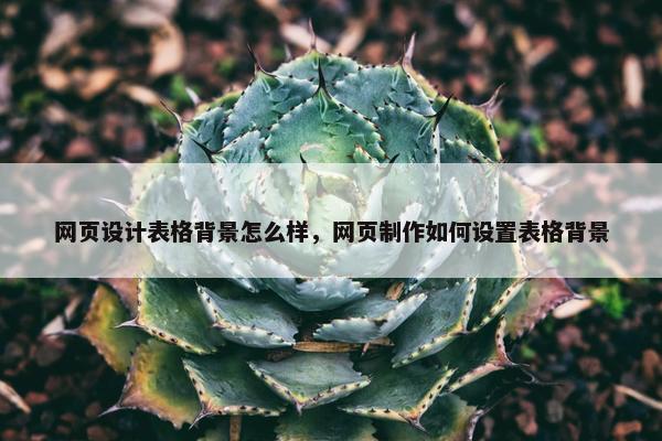 网页设计表格背景怎么样，网页制作如何设置表格背景
