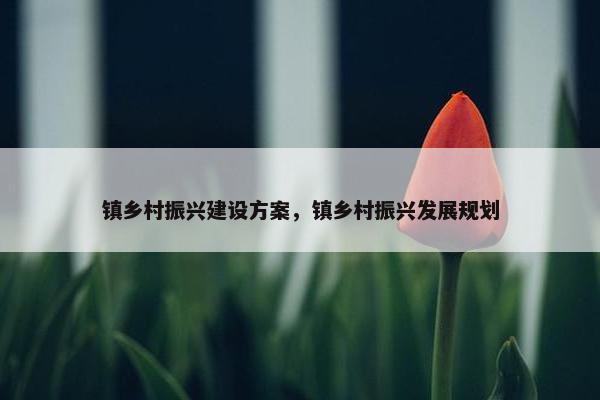 镇乡村振兴建设方案，镇乡村振兴发展规划