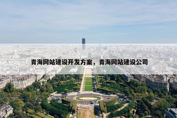 青海网站建设开发方案，青海网站建设公司
