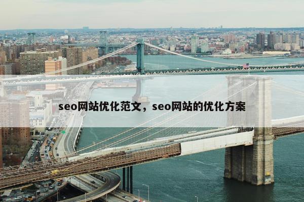 seo网站优化范文，seo网站的优化方案