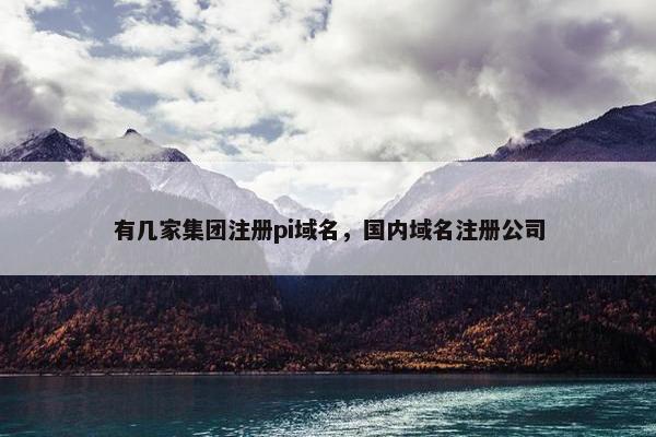 有几家集团注册pi域名，国内域名注册公司