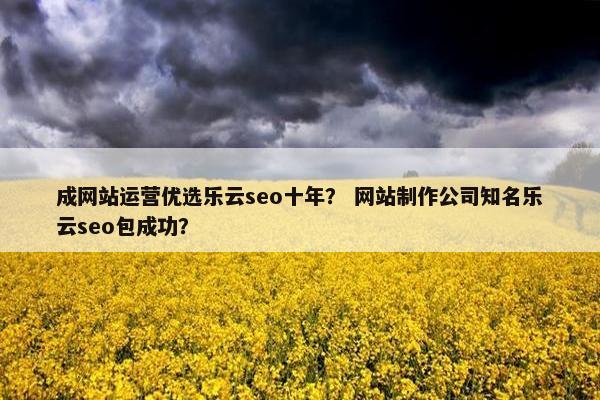 成网站运营优选乐云seo十年？ 网站制作公司知名乐云seo包成功？