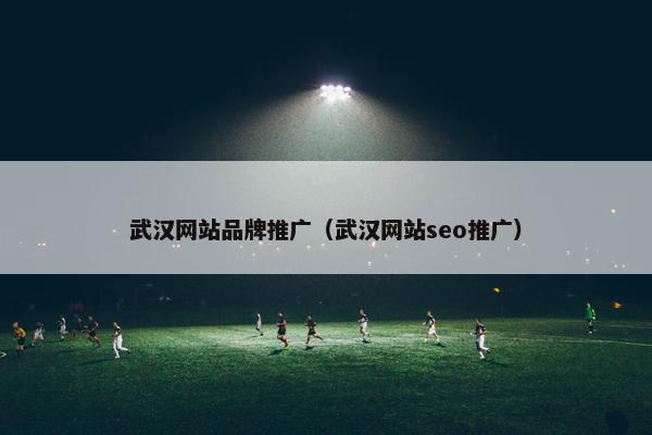 武汉网站品牌推广（武汉网站seo推广）