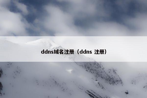 ddns域名注册（ddns 注册）