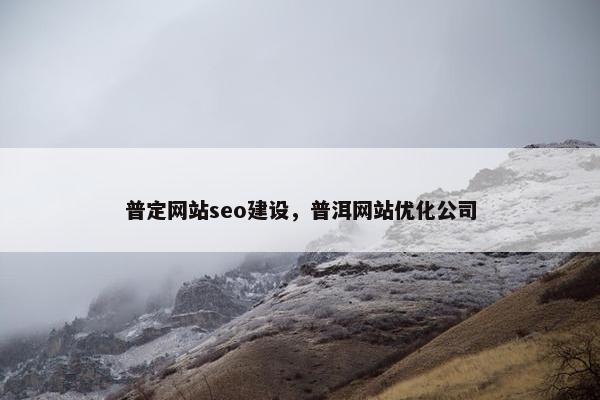 普定网站seo建设，普洱网站优化公司