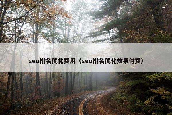 seo排名优化费用（seo排名优化效果付费）
