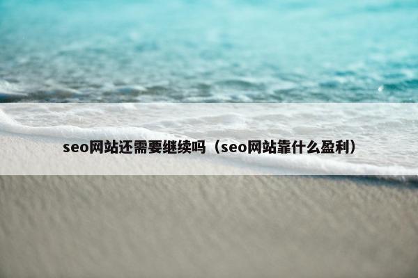 seo网站还需要继续吗（seo网站靠什么盈利）