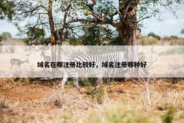 域名在哪注册比较好,域名注册哪种好 域名在哪注册比较好,域名注册哪种好