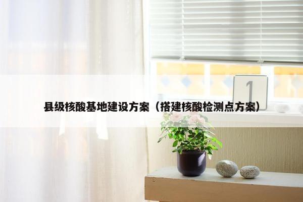 县级核酸基地建设方案（搭建核酸检测点方案）