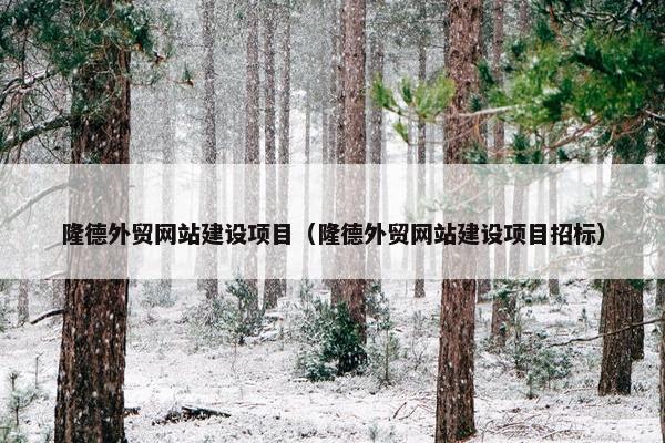 隆德外贸网站建设项目（隆德外贸网站建设项目招标）
