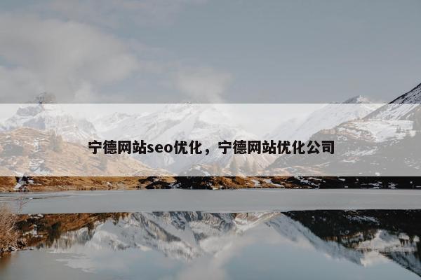 宁德网站seo优化,宁德网站优化公司