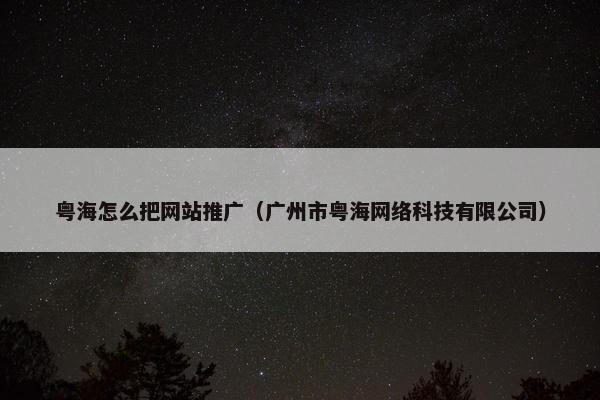 粤海怎么把网站推广（广州市粤海网络科技有限公司）