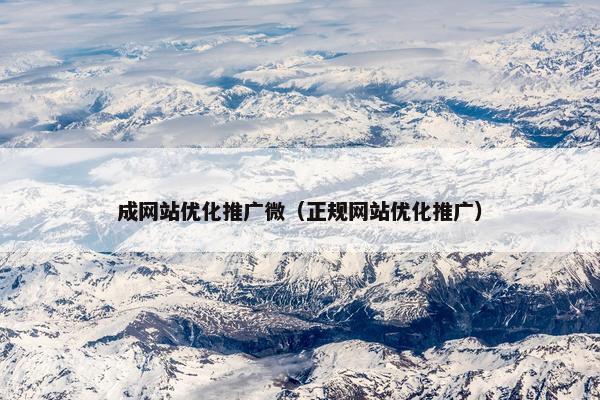 成网站优化推广微（正规网站优化推广）