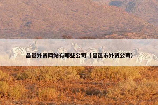 昌邑外贸网站有哪些公司（昌邑市外贸公司）