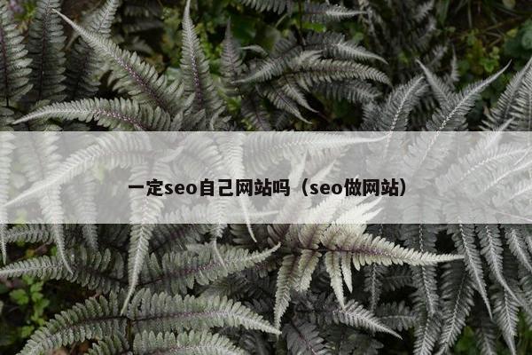 一定seo自己网站吗（seo做网站）