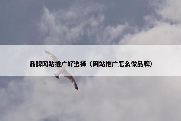 品牌网站推广好选择（网站推广怎么做品牌）