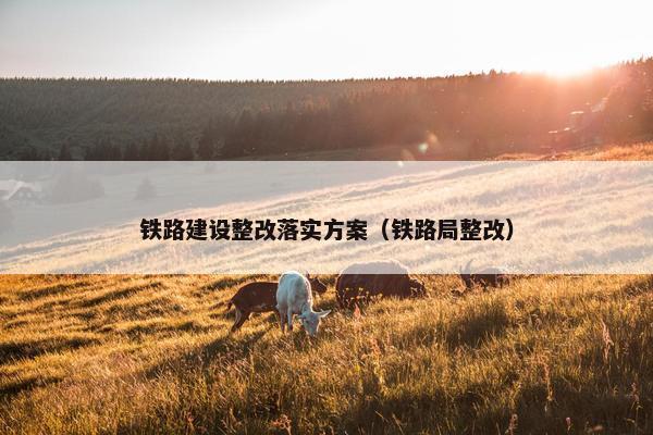 铁路建设整改落实方案（铁路局整改）