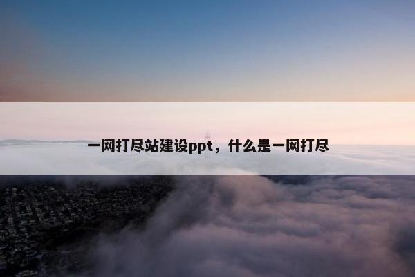 一网打尽站建设ppt，什么是一网打尽
