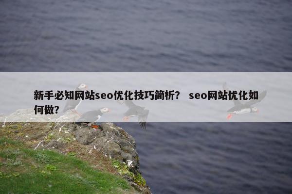 新手必知网站seo优化技巧简析？ seo网站优化如何做？