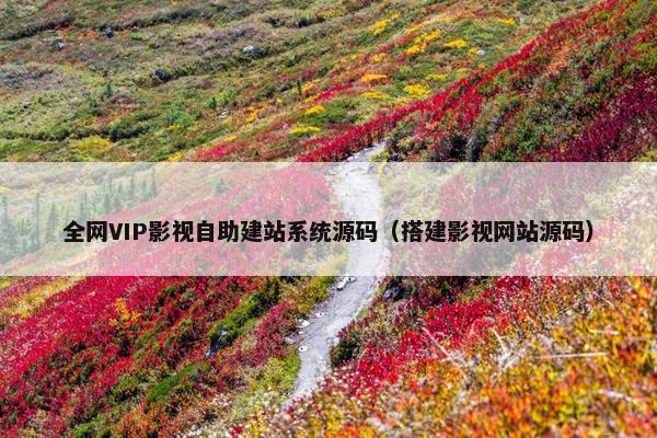 全网VIP影视自助建站系统源码(搭建影视网站源码) 全网VIP影视自助建站系统源码(搭建影视网站源码)