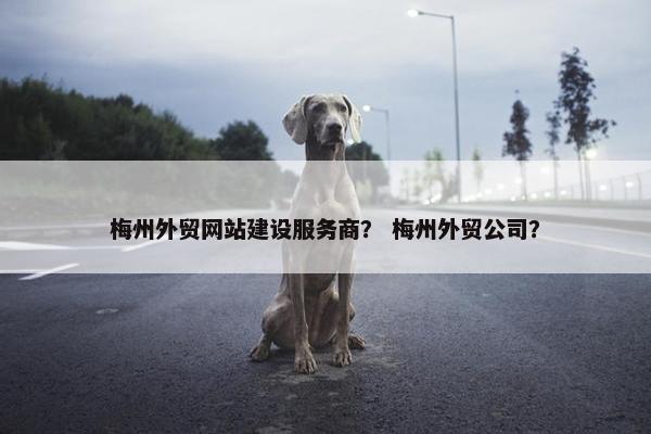 梅州外贸网站建设服务商？ 梅州外贸公司？