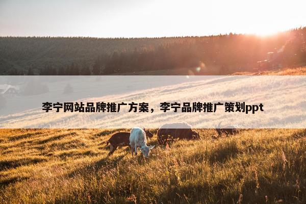 李宁网站品牌推广方案，李宁品牌推广策划ppt