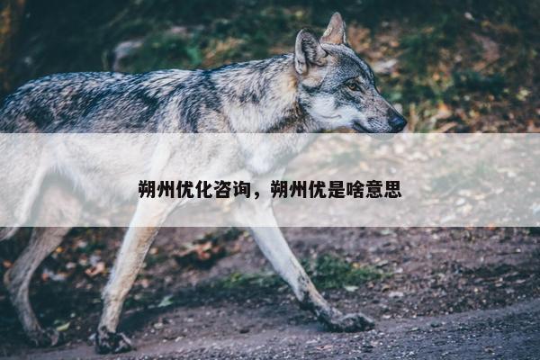 朔州优化咨询，朔州优是啥意思