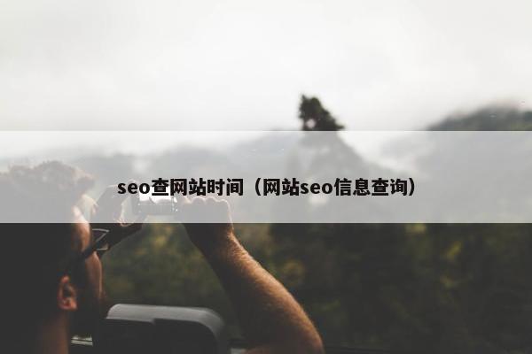 seo查网站时间（网站seo信息查询）